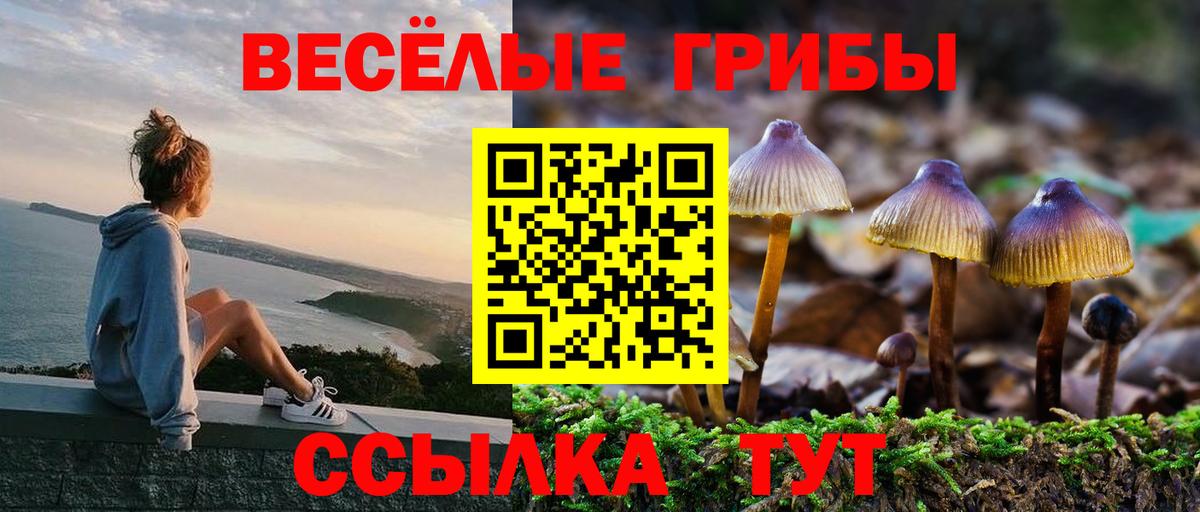 Галлюциногенные грибы MAGIC MUSHROOMS  Псилоцибиновые грибы прущие грибы  Бор  Вход с VPN 