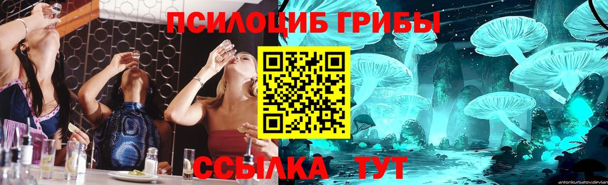 Псилоцибиновые грибы GOLDEN TEACHER Бор